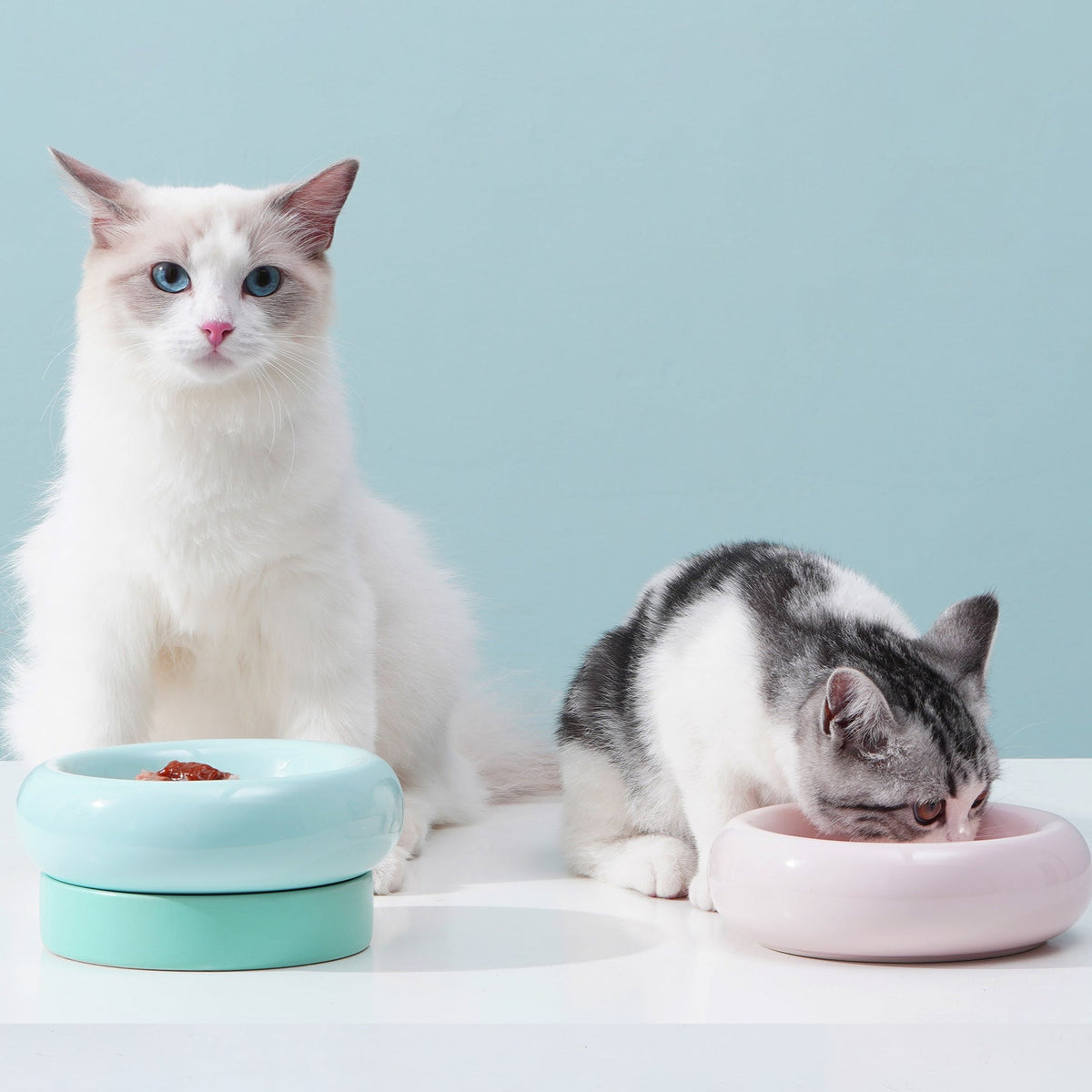 YUMMY 2in1 makesure cat bowls food water anti vomiting protect